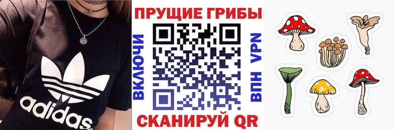 сайты даркнета Telegram  Туапсе  Псилоцибиновые грибы Magic Shrooms  хочу наркоту 